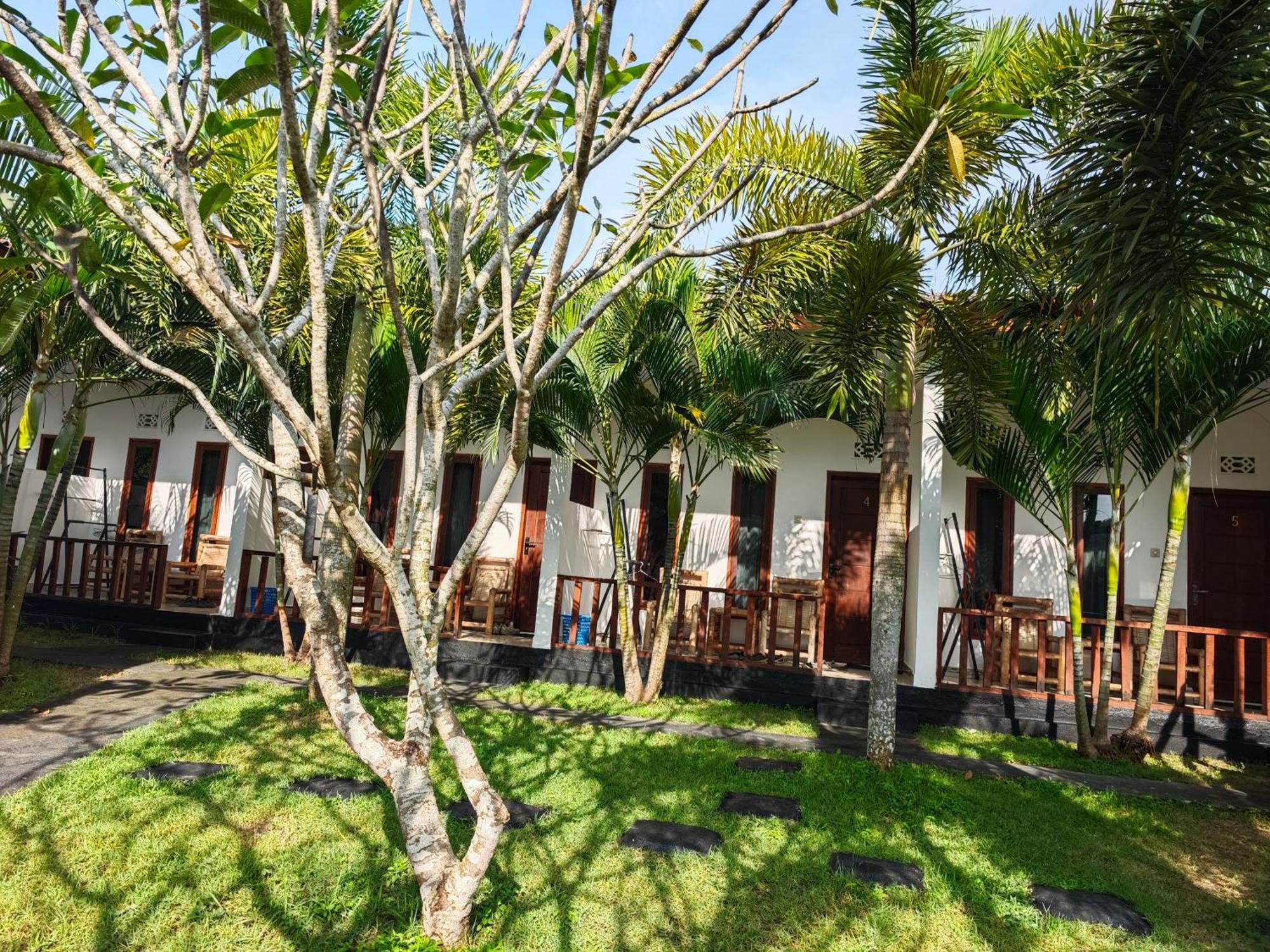 Surf Camp 79 Hotel Kuta  Екстериор снимка